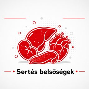 Sertés belsőségek