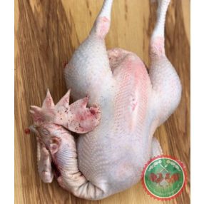 Egész házi kakas (4-5kg) mirelit